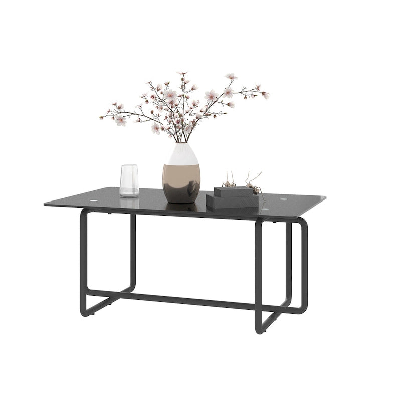 Modern Tempered Glass and Black Metal Coffee Table - 23.62 x 39.37 x 17.71